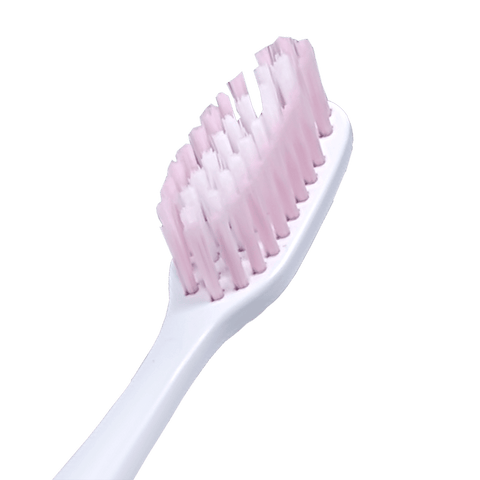 Protector® Antiviral Antibacterial Toothbrush-Standard Medium